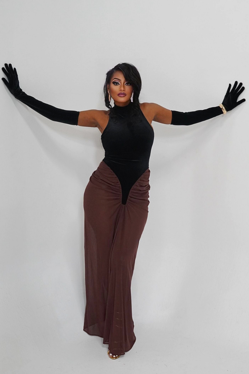 ZARA VELVET MESH DRESS