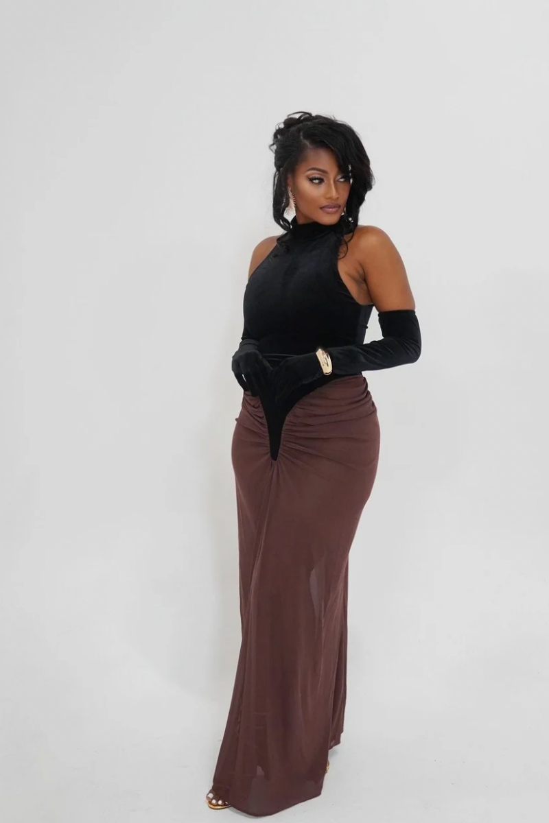 ZARA VELVET MESH DRESS